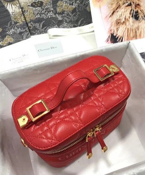 Christian Dior The Leather Vanity Bag Red